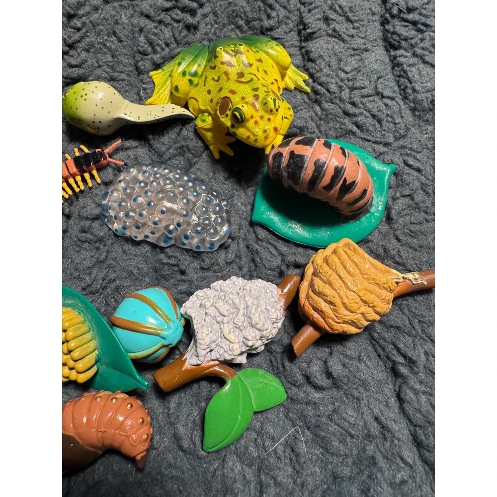 Life Cycle Toy Set Frog Butterfly Insect Educational Science Figures Lot